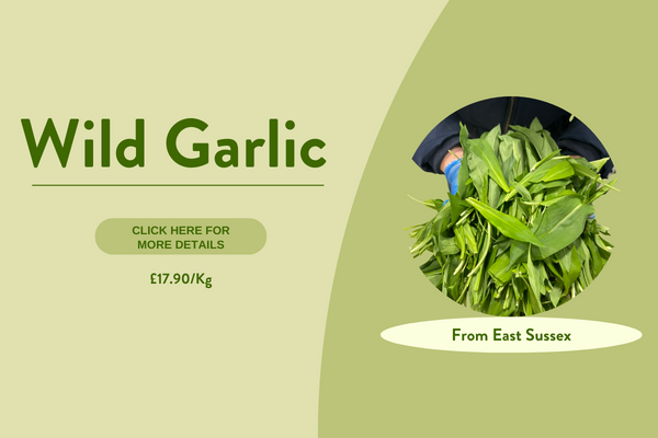 Wild Garlic 