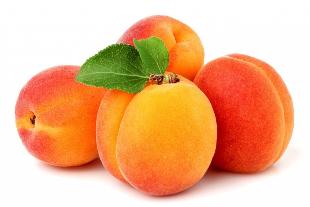 Fresh Apricots