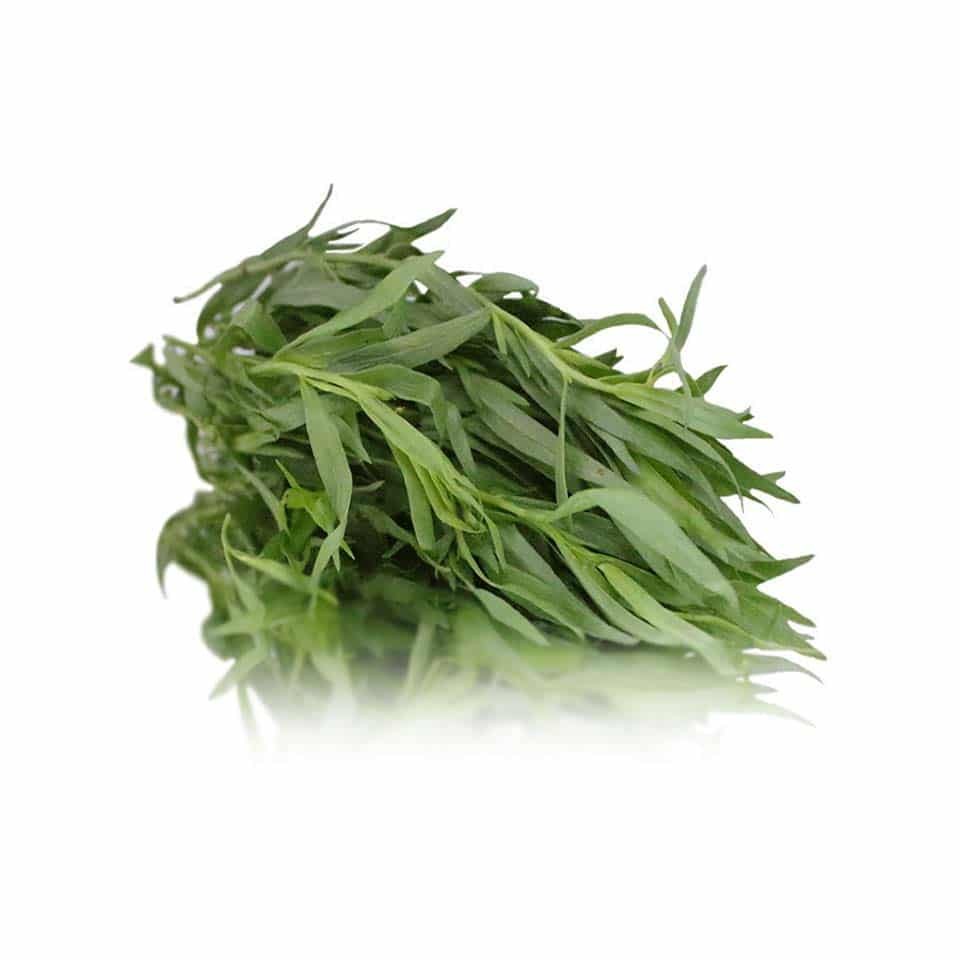 Tarragon FRESH kilo Albion Fine Foods Ltd.