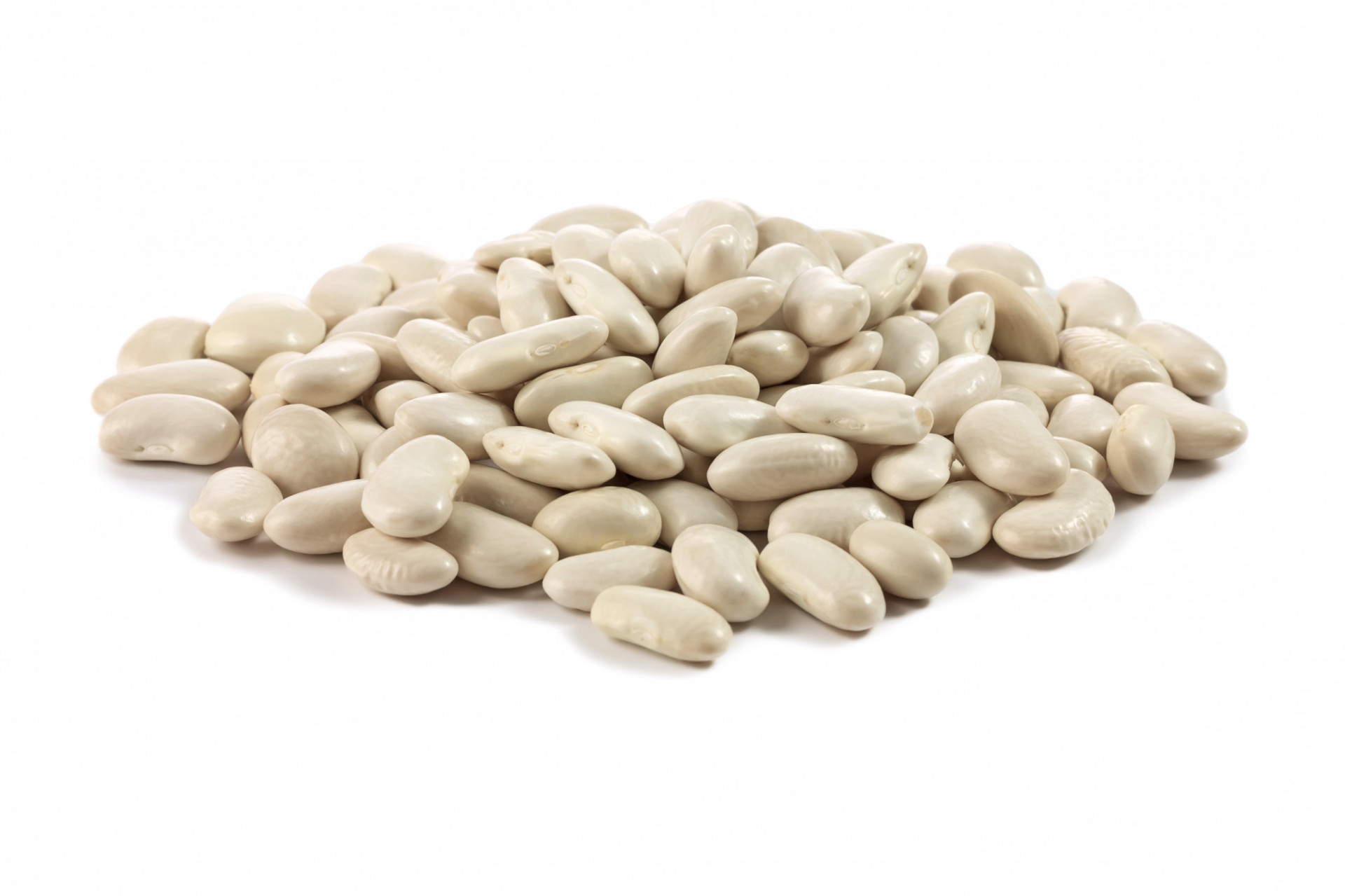 Haricot Beans Dried 1kg | Albion Fine Foods