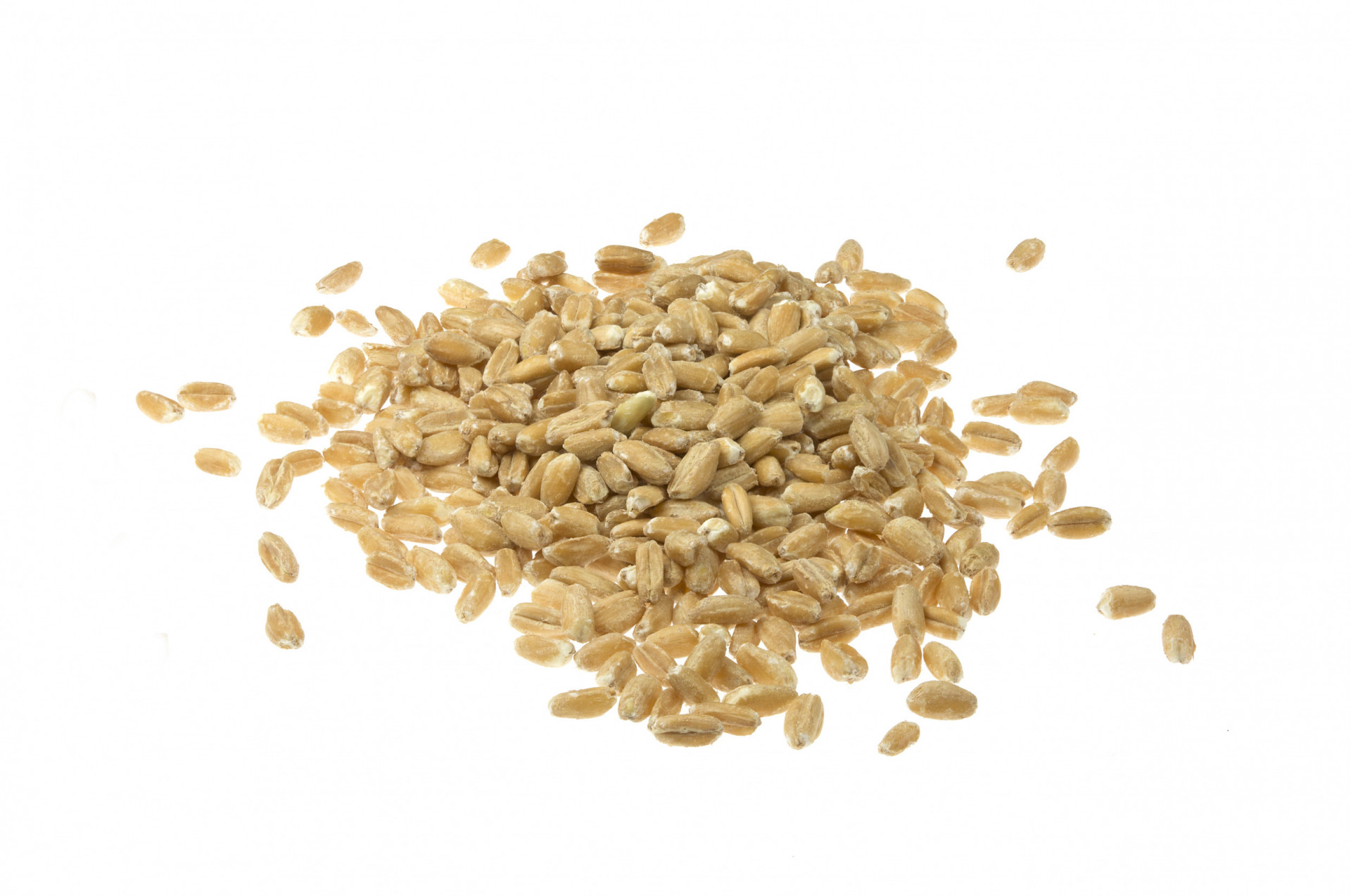 Spelt Pearled 500g | Albion Fine Foods