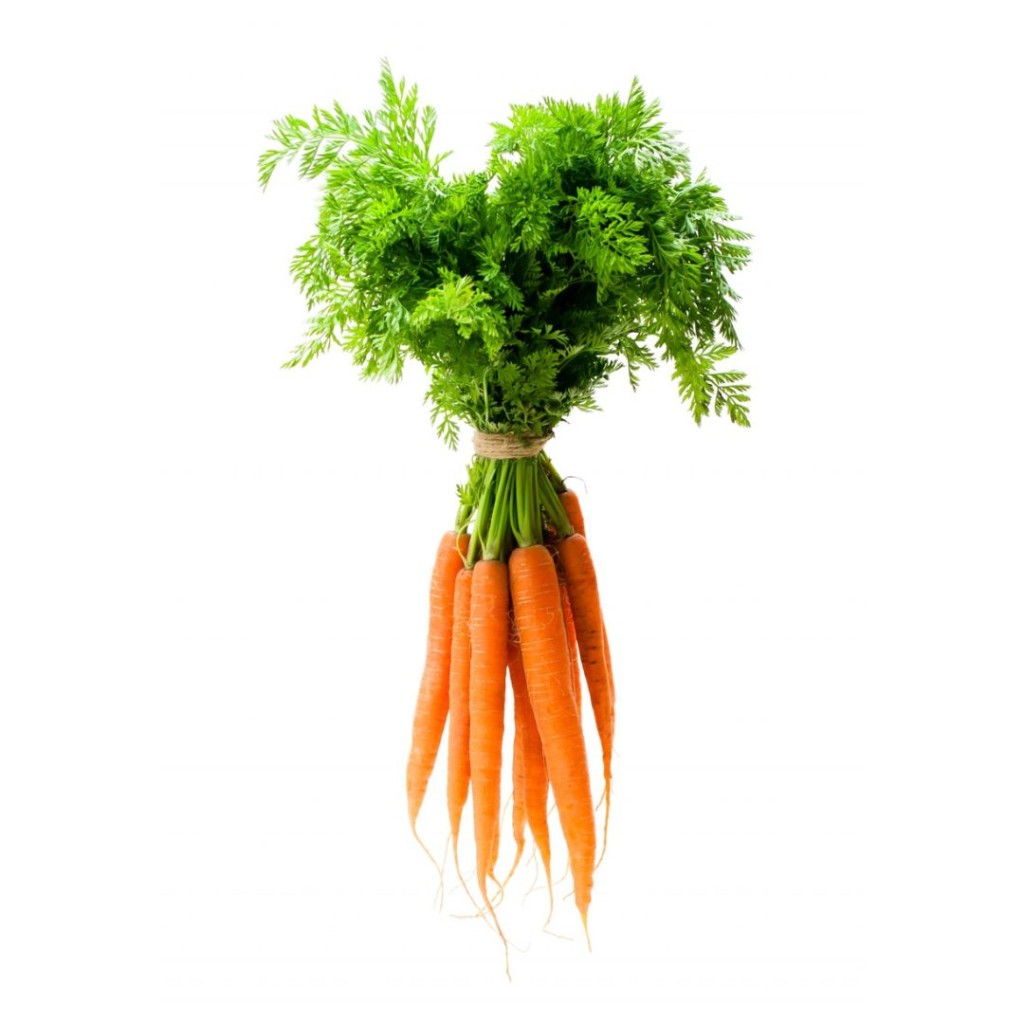 CARROTFRBUNCH