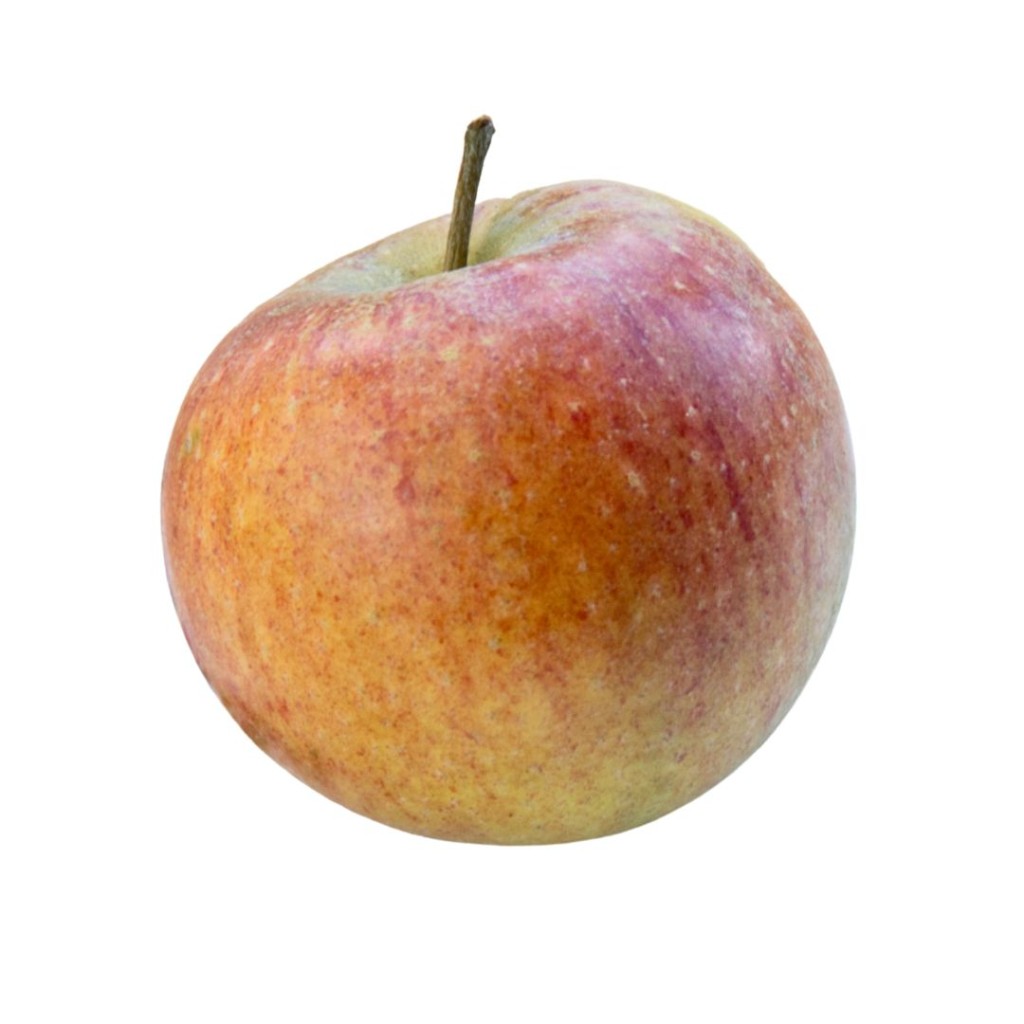 APPLEFRRIBST