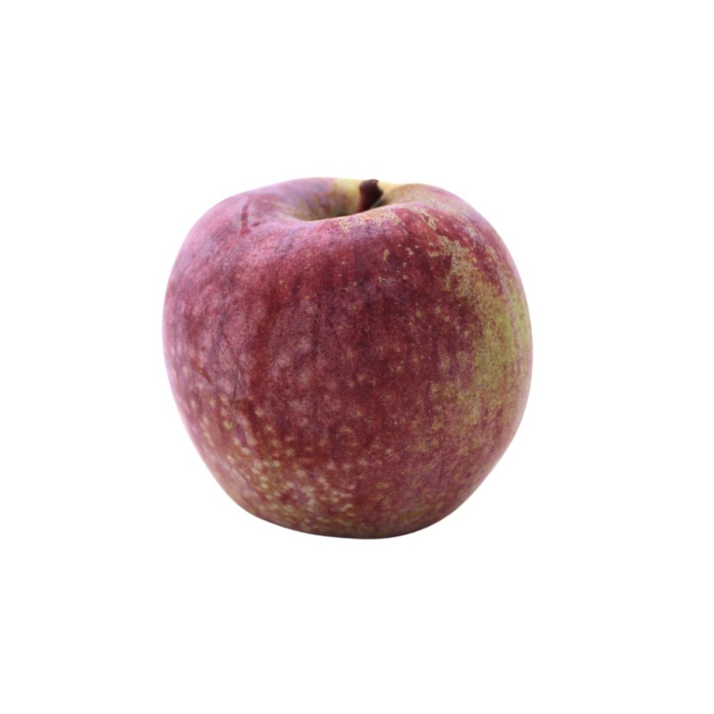 APPLEFRBLUEP