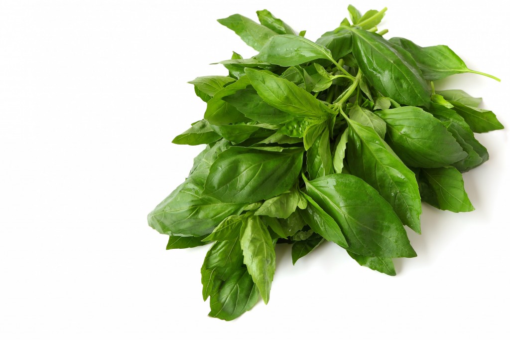 Basil Bunch 100g | Albion Fine Foods