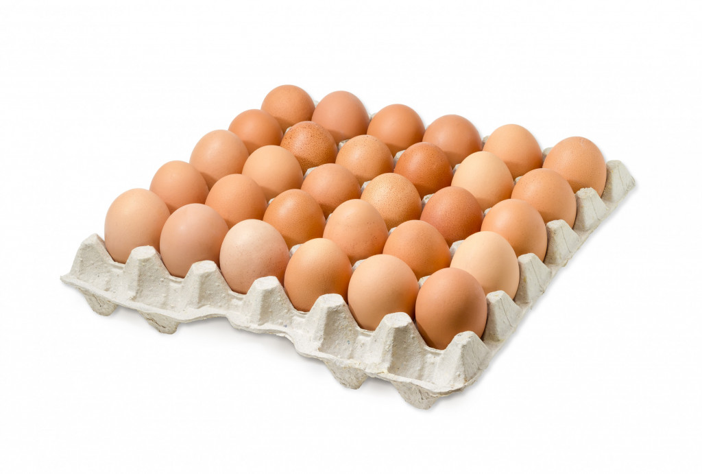 Eggs Box Medium Free Range 15 dozen | Albion Fine Foods