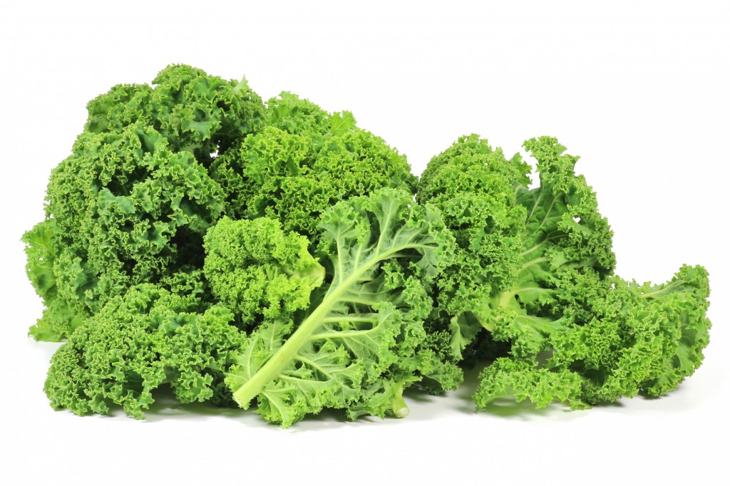 Curly Kale kilo | Albion Fine Foods