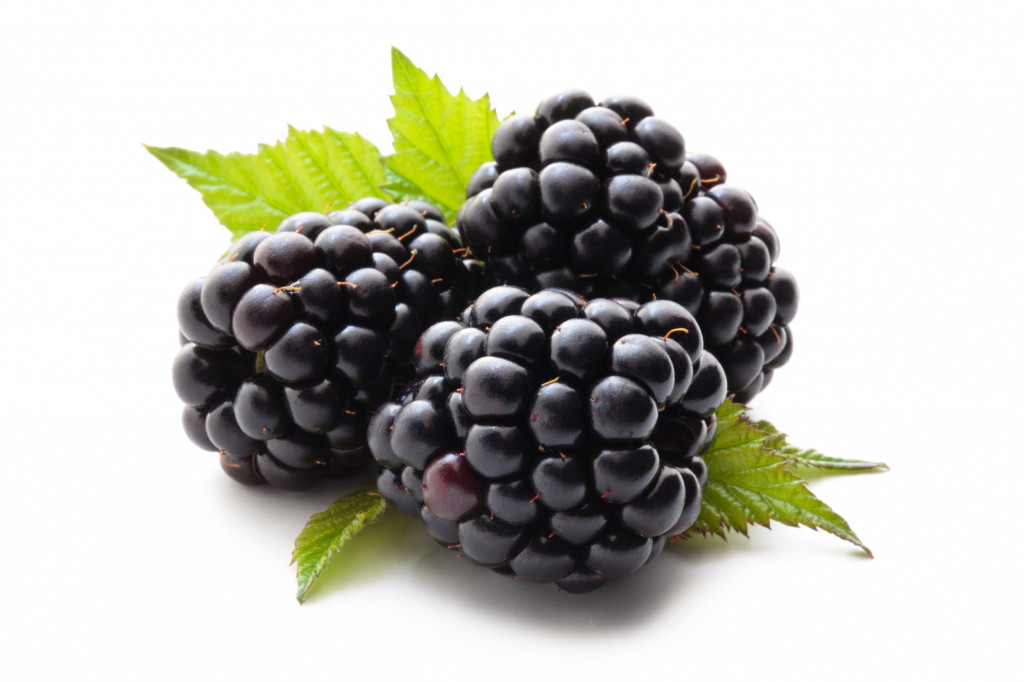 Puree Blackberry, Frozen - Boiron 1kg 