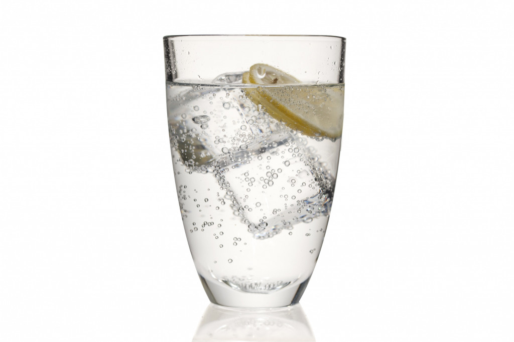 Schweppes Slim Line Tonic Water 24x125ml | Albion Fine Foods