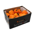 PEPPERSORANGE-1