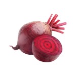 SQUIBEETROOT