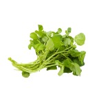 WATERCRESS  