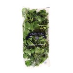 WATERCRESS  