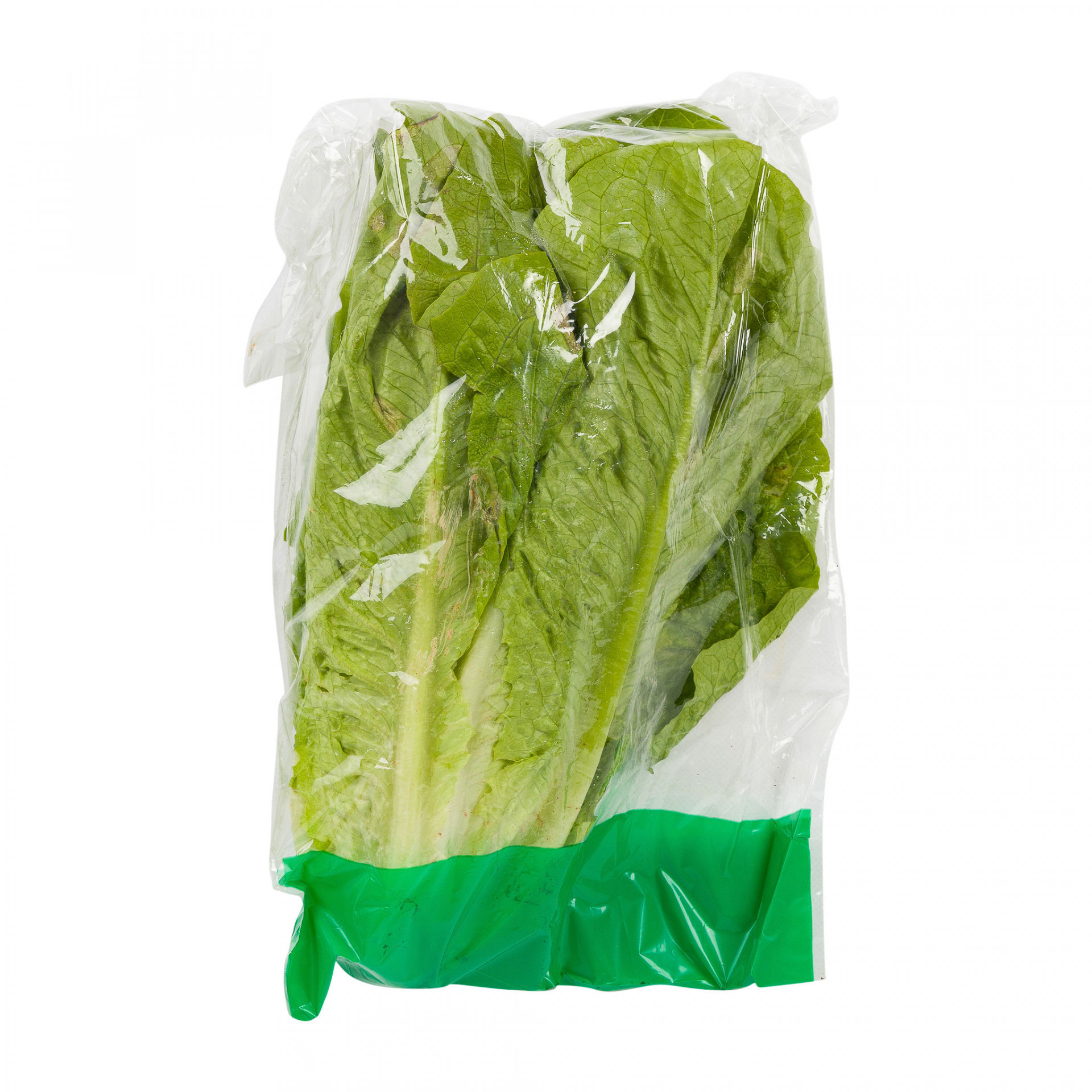 Lettuce Cos x 1 | Albion Fine Foods Ltd.